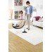 DS 6 Premium Plus (white) Пылесос с аквафильтром