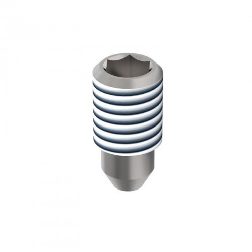 Форсунка типа F21S D0,3 3000bar